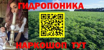 прущие крисы Абакан