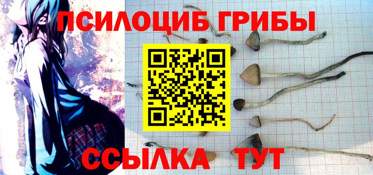 Псилоцибиновые грибы Cubensis  Псилоцибиновые грибы Cubensis  Азнакаево  Вход с VPN 